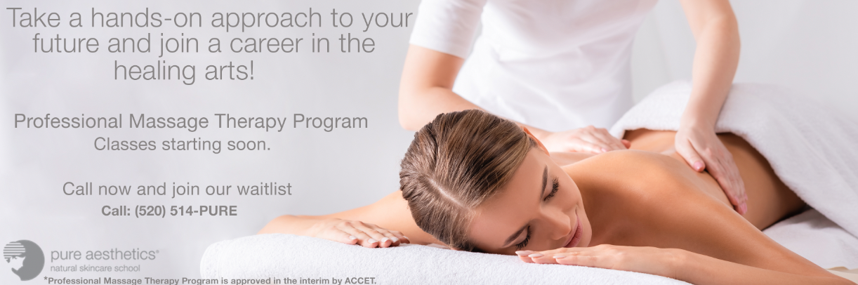 massage therapy program